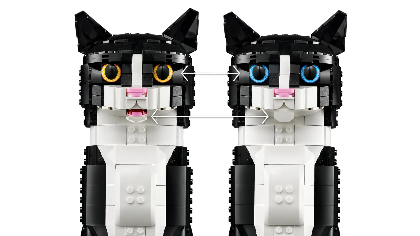 Tuxedo Cat