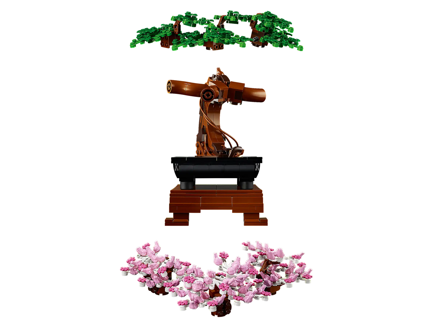 Bonsai Tree