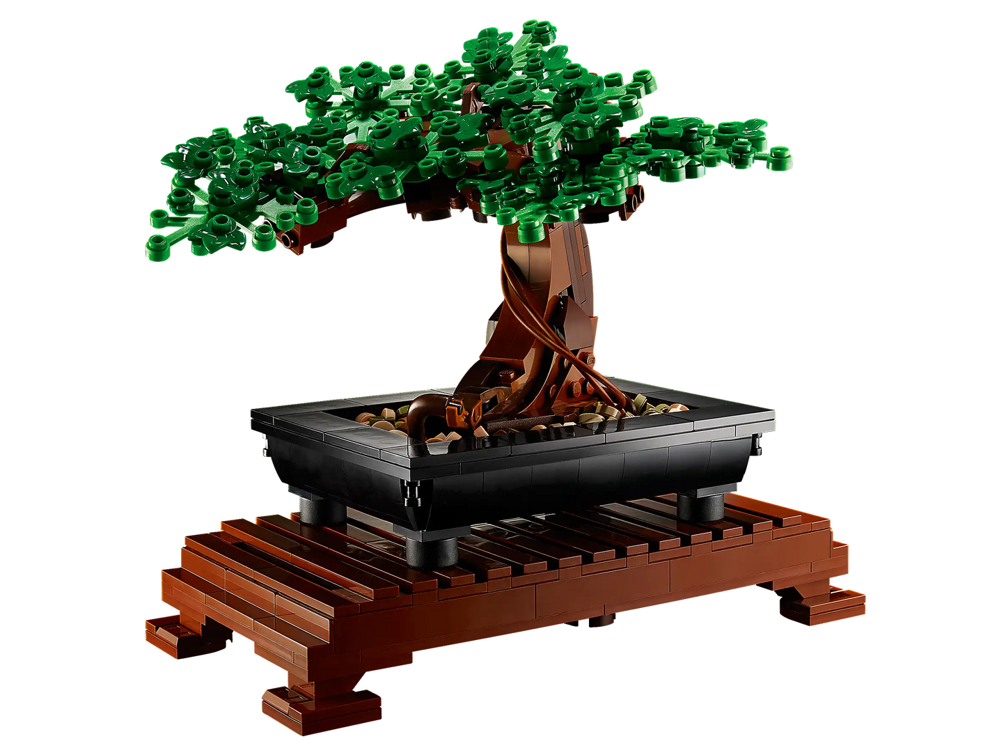 Bonsai Tree