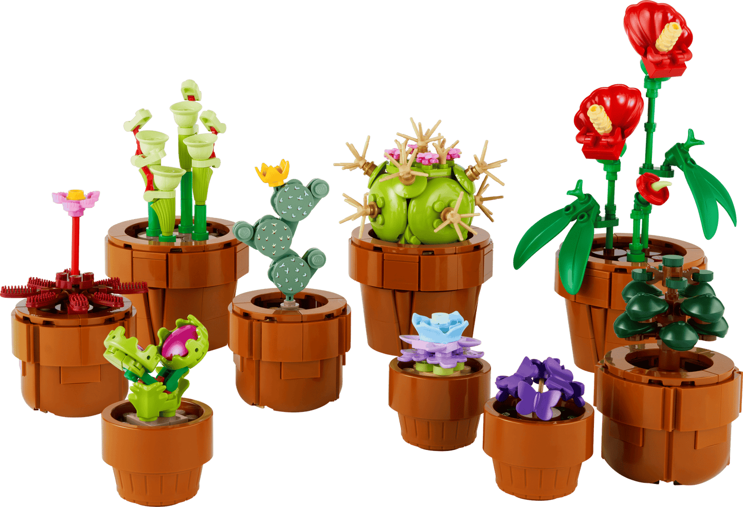 Tiny Plants