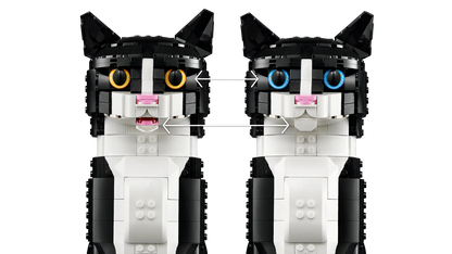 Tuxedo Cat