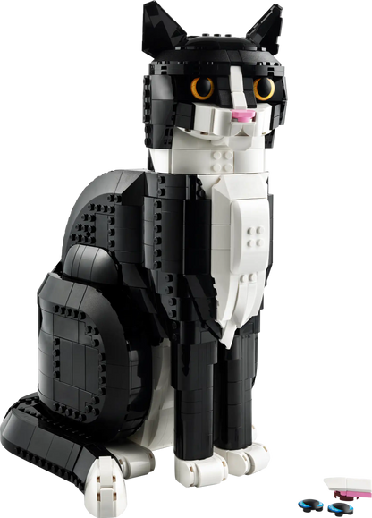 Tuxedo Cat