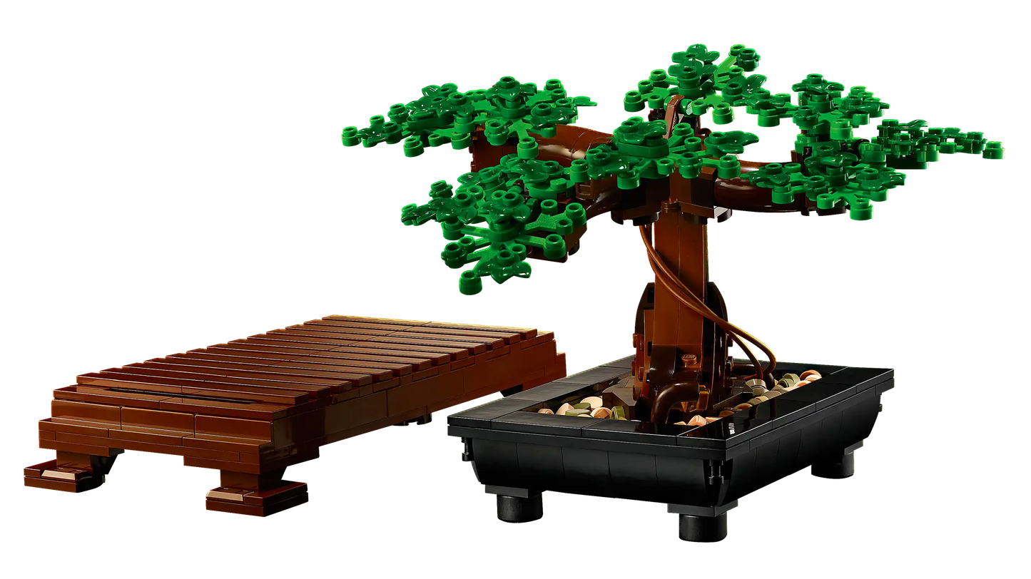 Bonsai Tree