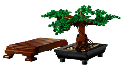 Bonsai Tree