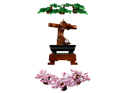 Bonsai Tree