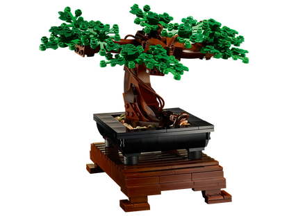 Bonsai Tree