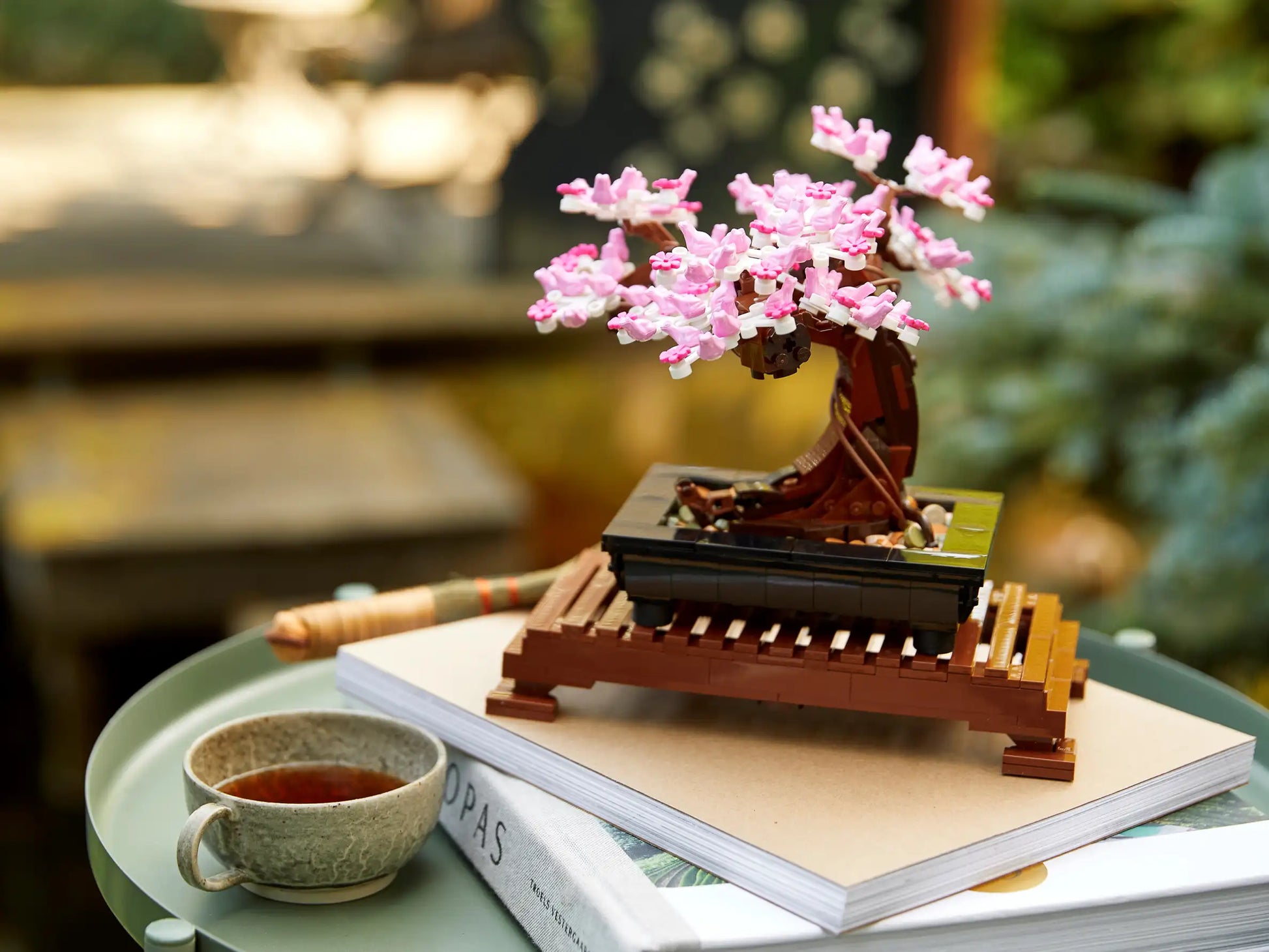 hobby lobby bonsai tree Bonsai Tree – Hobbies