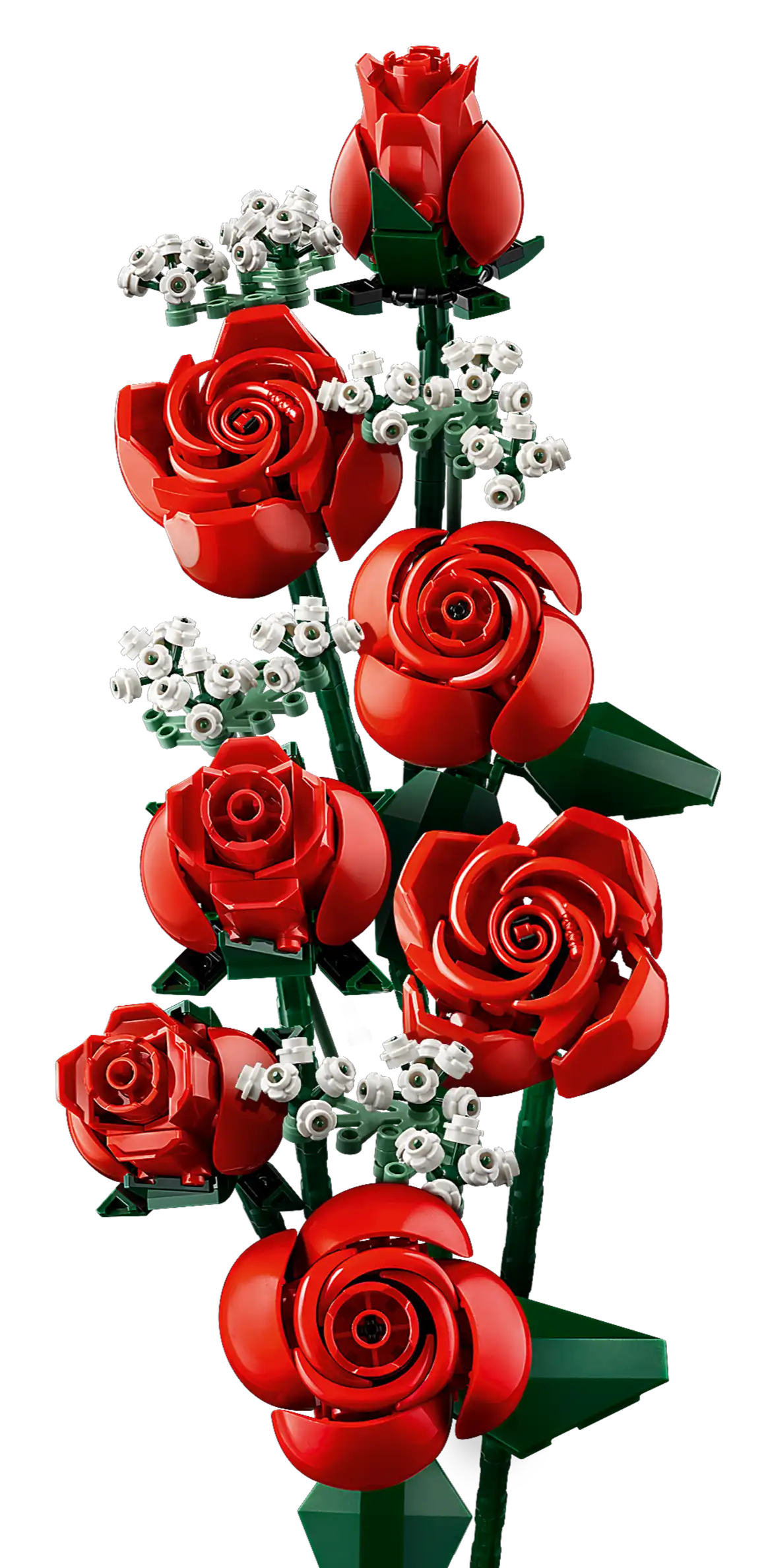 Bouquet of Roses