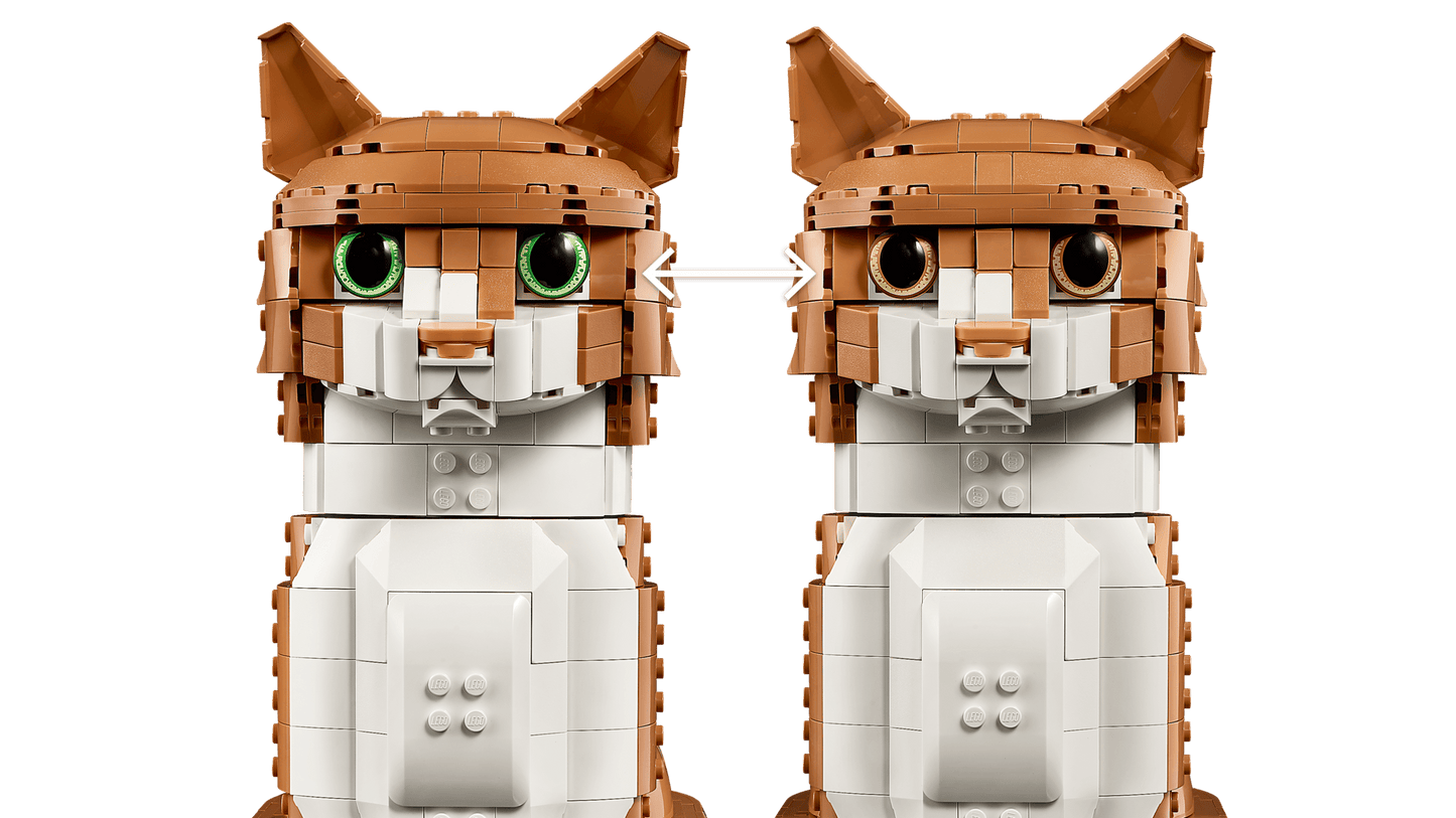 Orange Cat