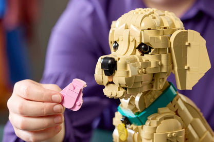 Golden Retriever Puppy