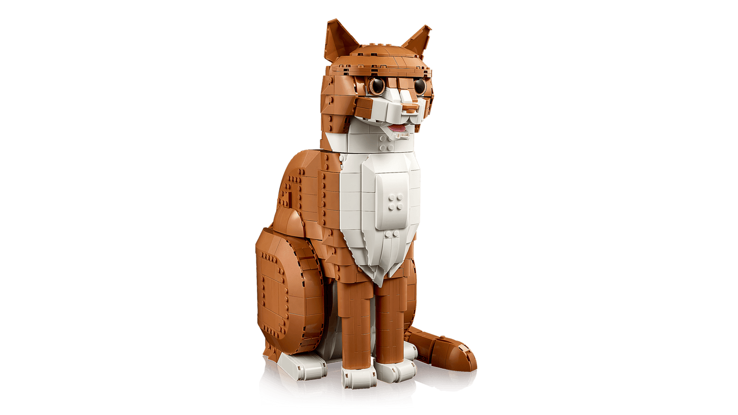 Orange Cat