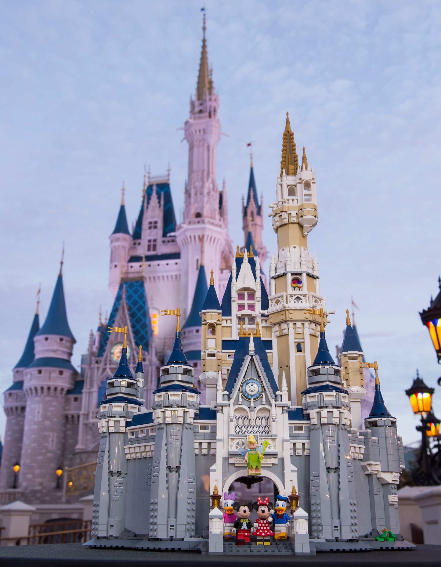 The Disney Castle