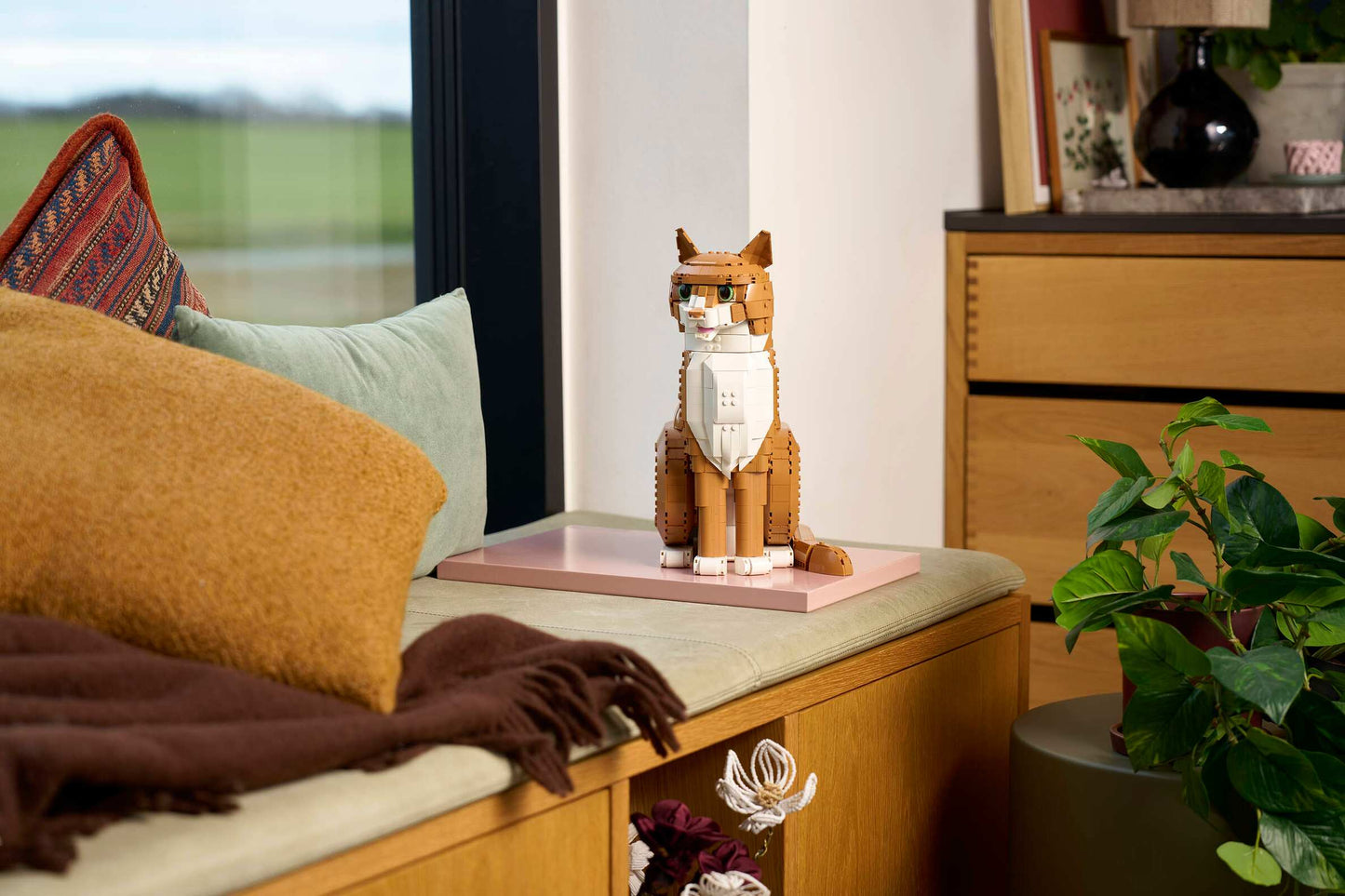 Orange Cat