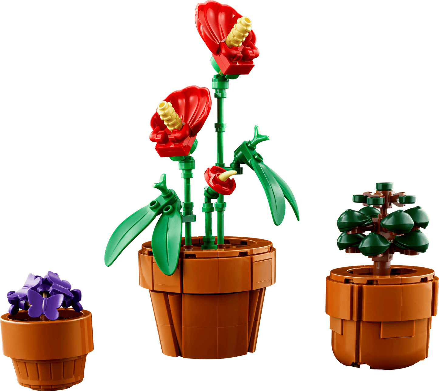 Tiny Plants