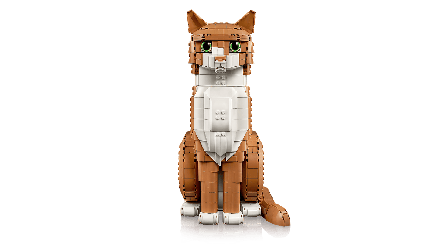 Orange Cat