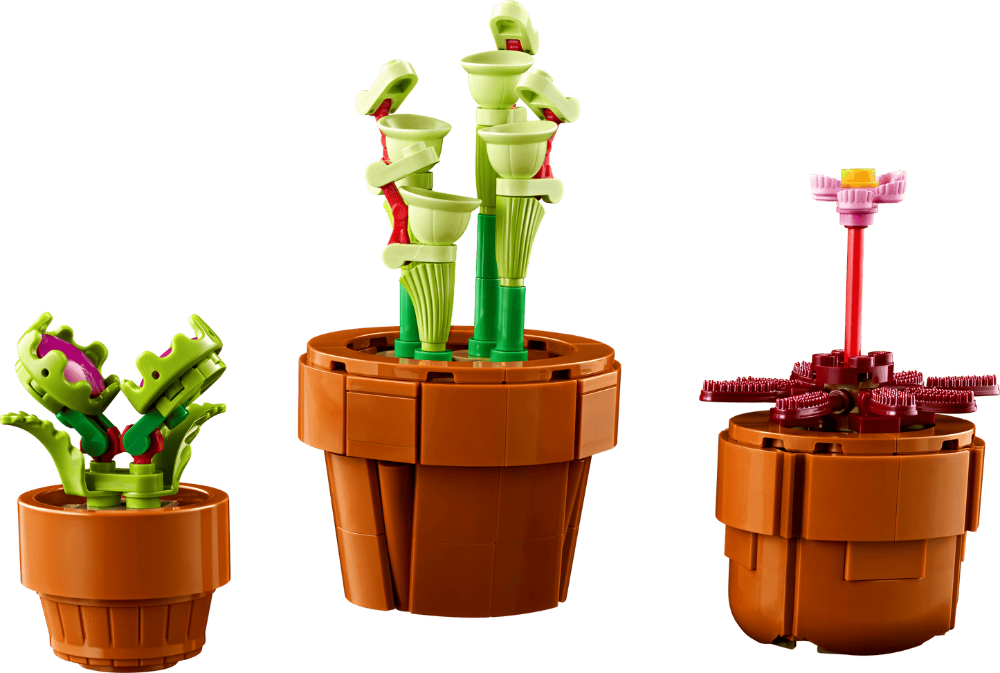 Tiny Plants