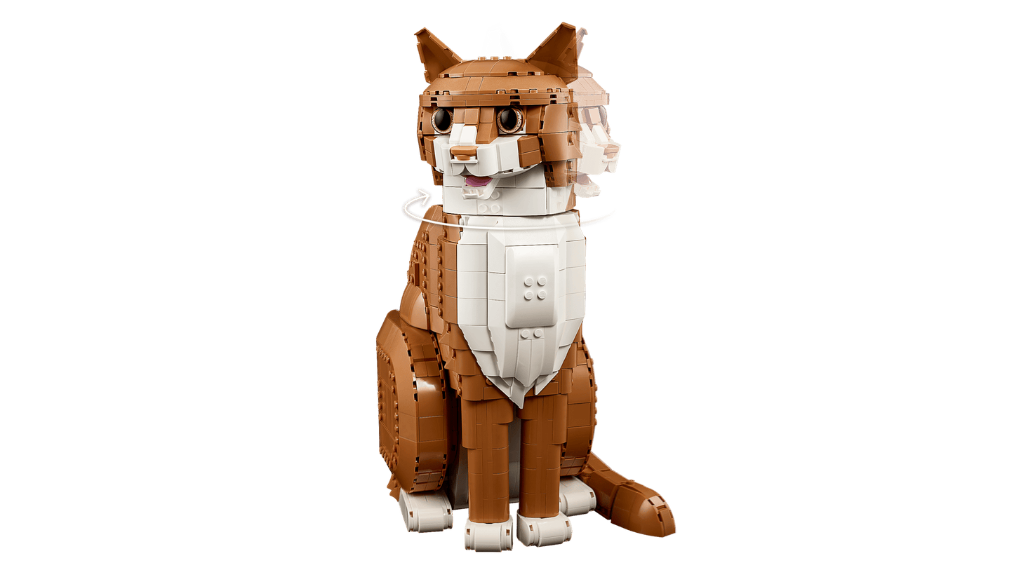 Orange Cat